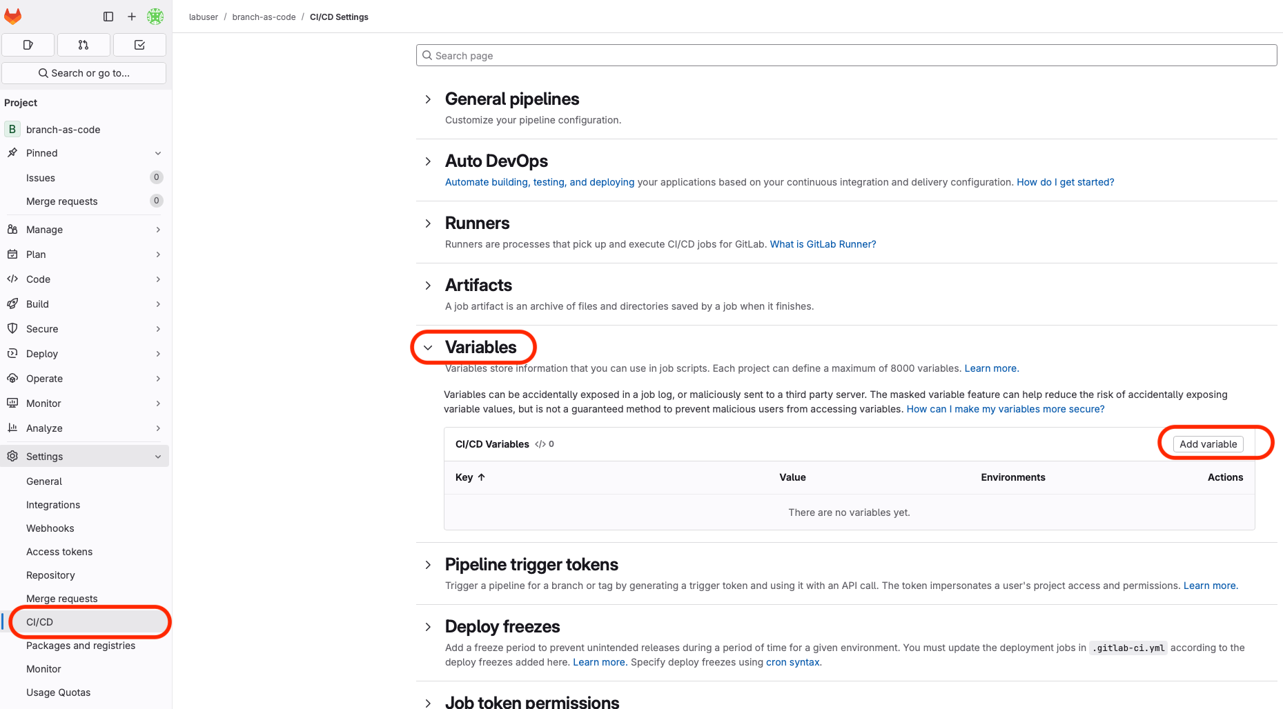 Add CI/CD Variable