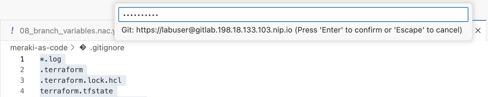 GitLab Repository After Push