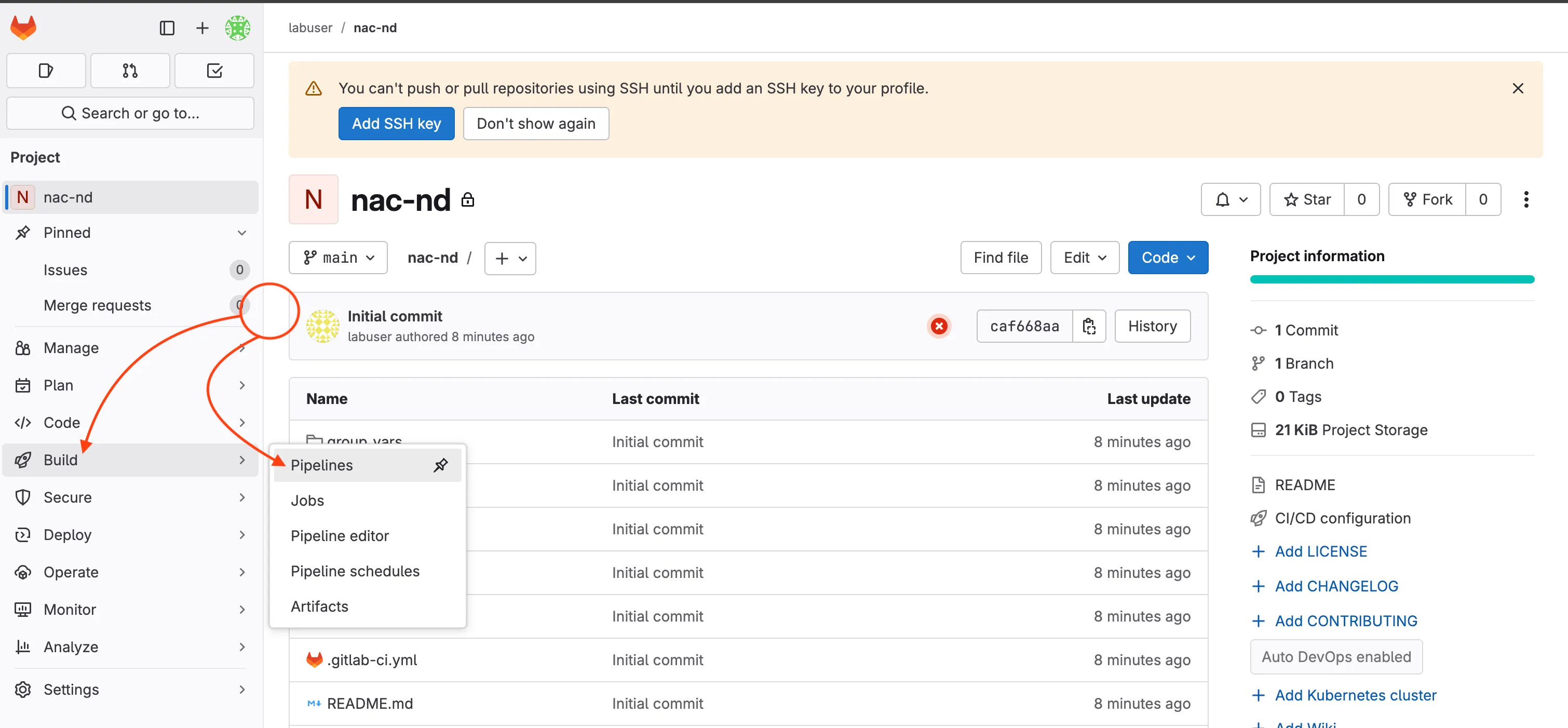 Navigate to Pipelines