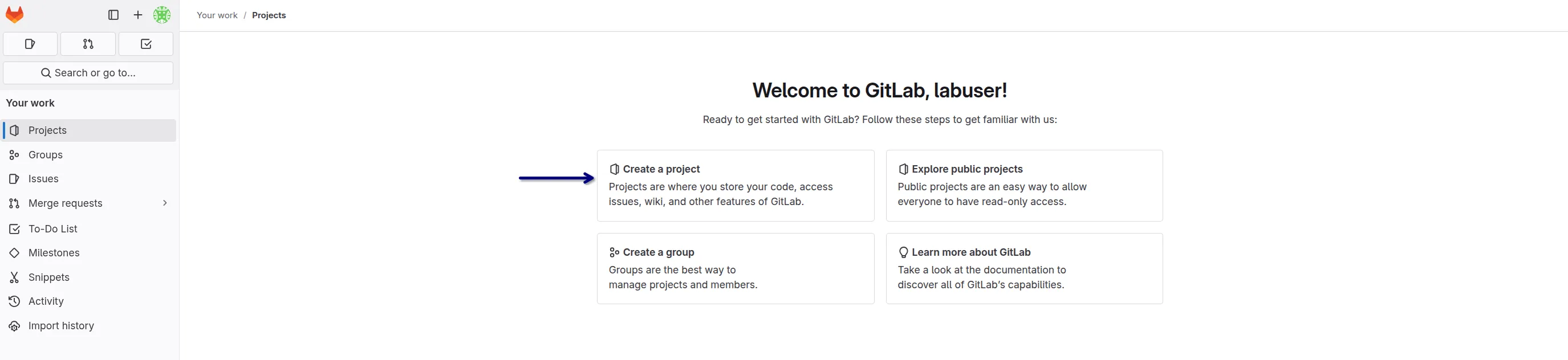Gitlab Create Project